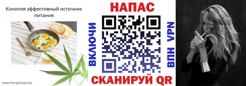darknet наркотические препараты  где можно купить наркотик  Моршанск  Cannafood марихуана 
