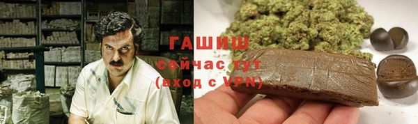 прущий лед Богданович