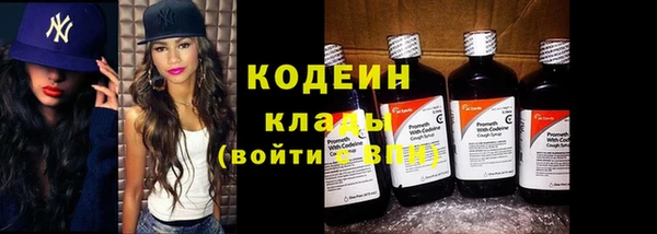 сатива Бородино