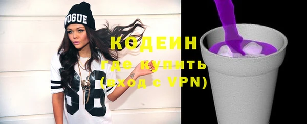 сатива Бородино