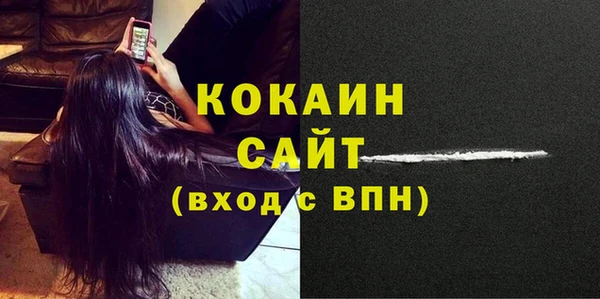 прущий лед Богданович
