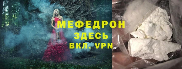 сатива Бородино
