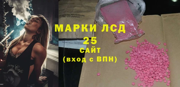 прущий лед Богданович