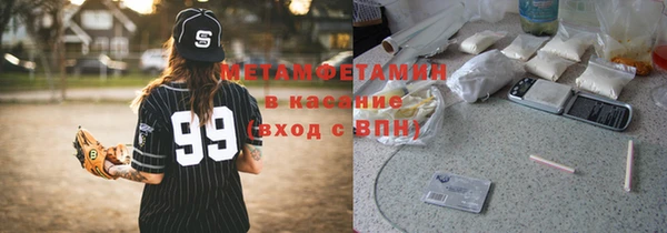 сатива Бородино