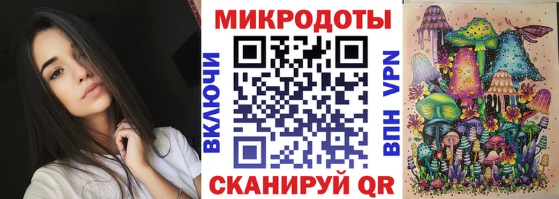 закладки Моршанск Псилоцибиновые грибы Psilocybine cubensis